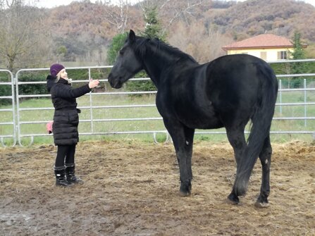 55c887f9ef972398eed6232405f170d7848f081f