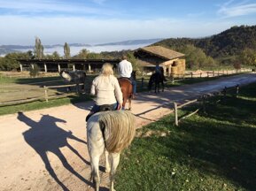 56d4339dadfc12f4db3beb1d6182aa2c5e0dc525