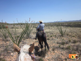 584330c6946204a422f1e258edbf08af36acc43d 584330c6946204a422f1e258edbf08af36acc43d