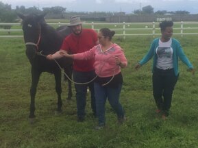 5a68ff47d57f579d4d0fc50f700ec5b29275973e