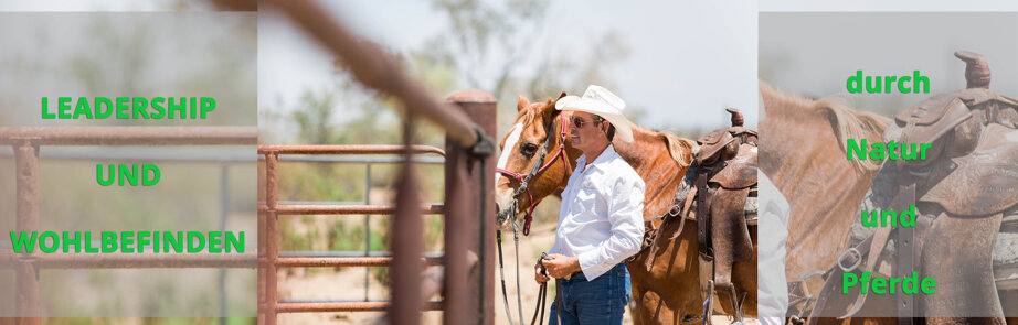 60184435194dcb4a721263720771955ef2956478