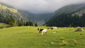 6441da5a24ac4ac595b72ecf68366fbdba27075f