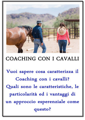 66044c502709e21e4d2920bd90c5a0e9e9516f13