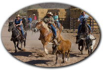 686fb8d289af8f4e7621570401d5f9c8914dfdc4