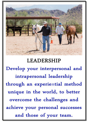 6b4ed13c04a52a2d4607b4254bfb2070117f3857 6b4ed13c04a52a2d4607b4254bfb2070117f3857