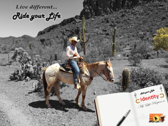 6edd944c098a9c760f5a0340af86758be6d38cf7 6edd944c098a9c760f5a0340af86758be6d38cf7