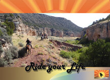 6fe331c00e0d7f91fc492c73d1857ed93216b4bc