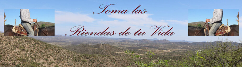 7685f64c7bad1adc12b934786a5fe946c646d8f7