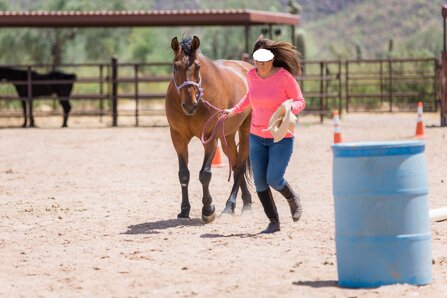 84d079afa918bcbdf026c9603edcdbf9dca3ab13