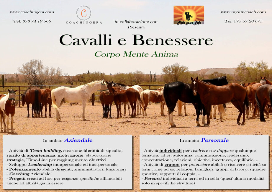 87d17487e1a19f272b449c951ffaf2a12ab34387