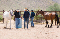 8bf3058fb61db6da49a07020e08f3e3644ed35c1