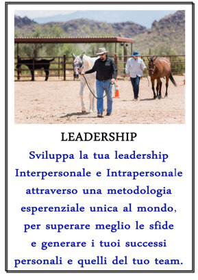 8fcd09d47ef2ead84da739d5d035cee35a7297ac