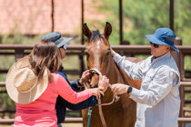 939fcc47e1295515e48dd5cb7975651d1425730d