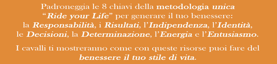 978d6ac1b32f8a908578c9a457e3f8e3a673a704