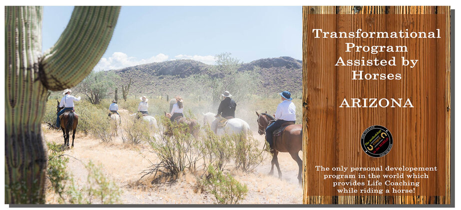 9a6eac4cdbf4cf704ba4d27cb52e22cdcae35056