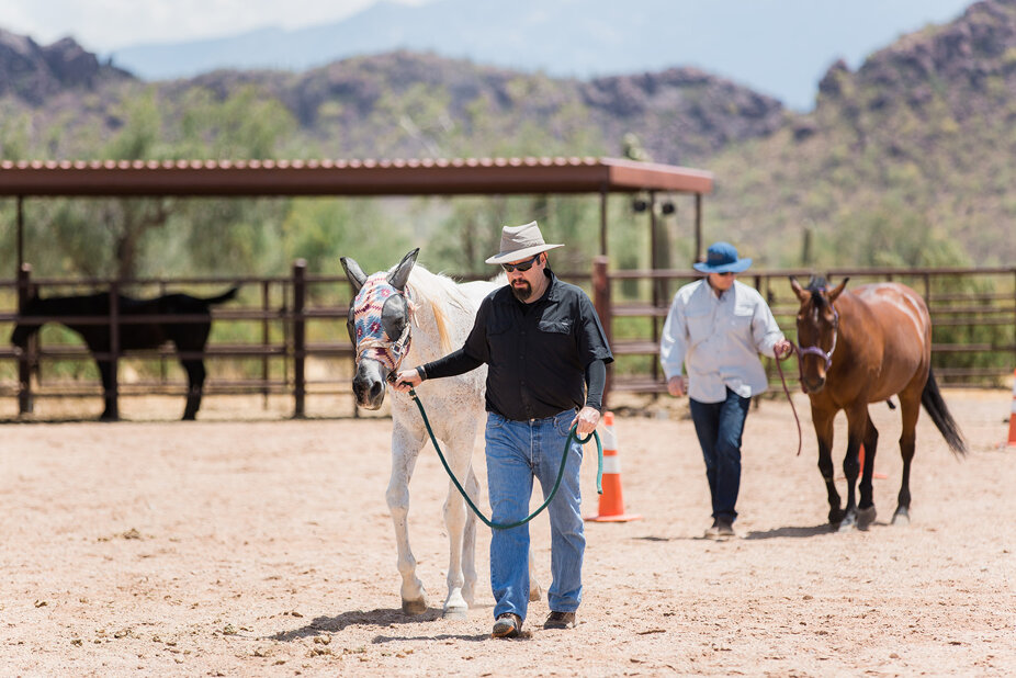 a45fa18881a58055ee2c8f1463a89613417d7c29