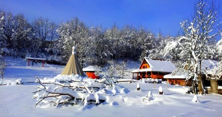 acafe04e1ddc0a75516223bd263f5989d7ac1d5c