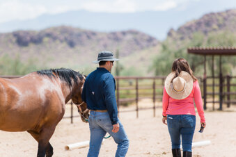 b4e5badd4ed86aa8fe52bf490a2e26b5c2d7aeaf