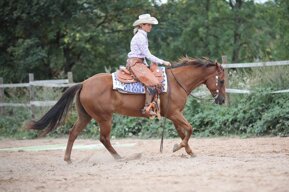 b6e1eb37125e18b34196d921c9cc3a9235e54382