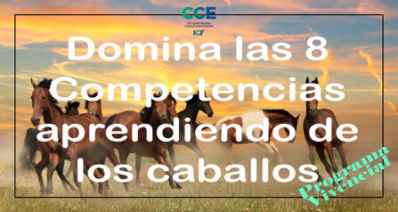 b8f955ff653ad901cd776bc10ed9d90b4ef97c93