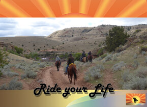 bba89e05770c9d053f24e2d4618b5fba805fc76a