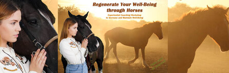 bcaf497a6e69a646cd2d7e33edce091099f7a323