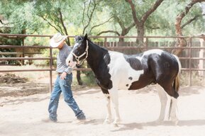 bf1ff19f5bbbceef7836c4ef046a225d40ecc3c7