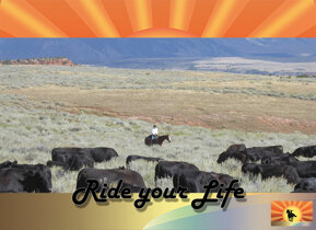 c14ea79ddcac7d0f8df8ce2e186a16c6a4278ed1