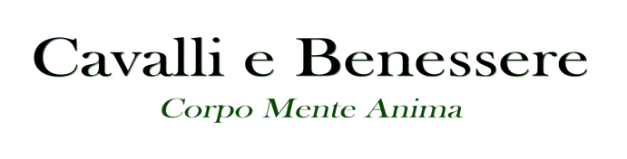 ca9e2737cd158a3c64a4f91f4471a46f0597a212