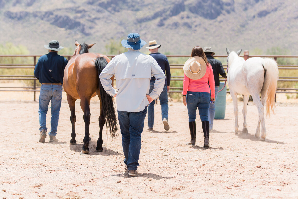 cc034aac46adfa51374f48dd4e46143a10a5fcff