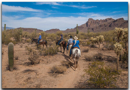 d0b77d228134557a0829b5f5f52fd81c45e32722 d0b77d228134557a0829b5f5f52fd81c45e32722