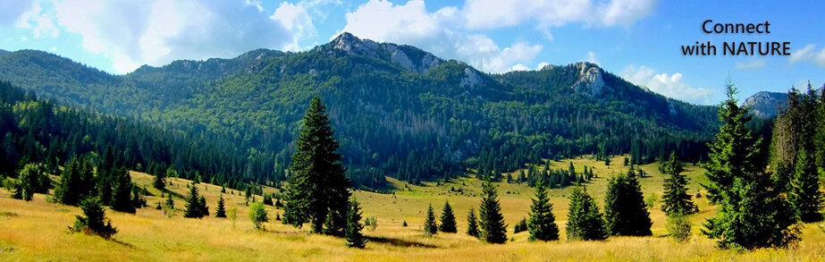 d53e21c475c2cef5d428fc9fe697c0640a0cd0ee