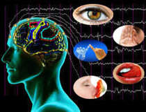 d58793fab76bbc280103aff9e208716c457944ec