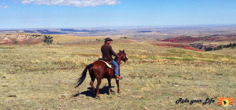 dc9ccd4f6492a20f0e62e313c1960a74e22a69be