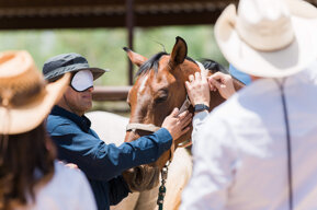 ed26e24f3f9c777de503c35620b6a99b3031e07d