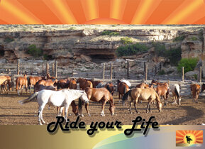 f04422e95b5a67a3b0839e6714a2f0b6dd378660