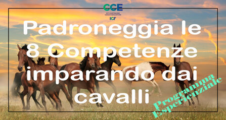 f1d4f7f578a37f4cd66ab8968c1a752d2a21a827