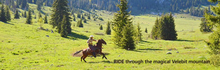 fb8b5c0aa5b200d8c6c6125f9e61f4b9edcbf08e