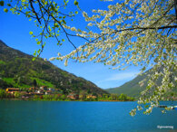 76dd903da2be6f4e9dc60697ad3af60d1af68b67