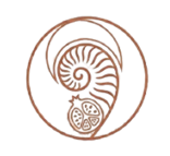 koru