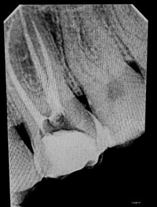 5ebe1e20b1394db97db56733296c76e6fe36d2c8 5ebe1e20b1394db97db56733296c76e6fe36d2c8