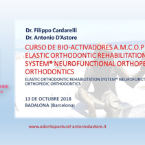 CURSO DE BIO-ACTIVADORES AMCOP Barcellona 2018 CURSO DE BIO-ACTIVADORES AMCOP Barcellona 2018