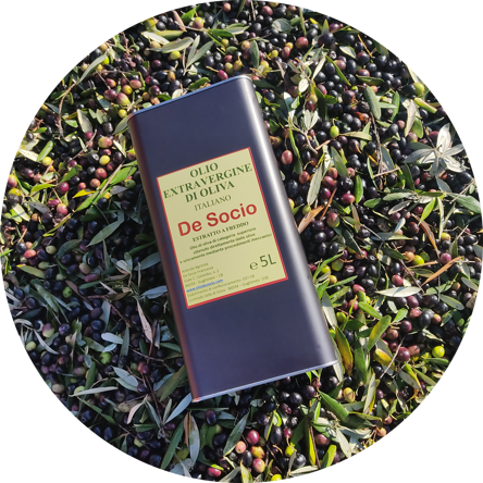 2fed1248-0a23-4af1-8b7c-d9e56815c58a