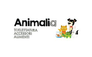 3fd08329-57f9-425b-98f6-4cb4c0361dcd