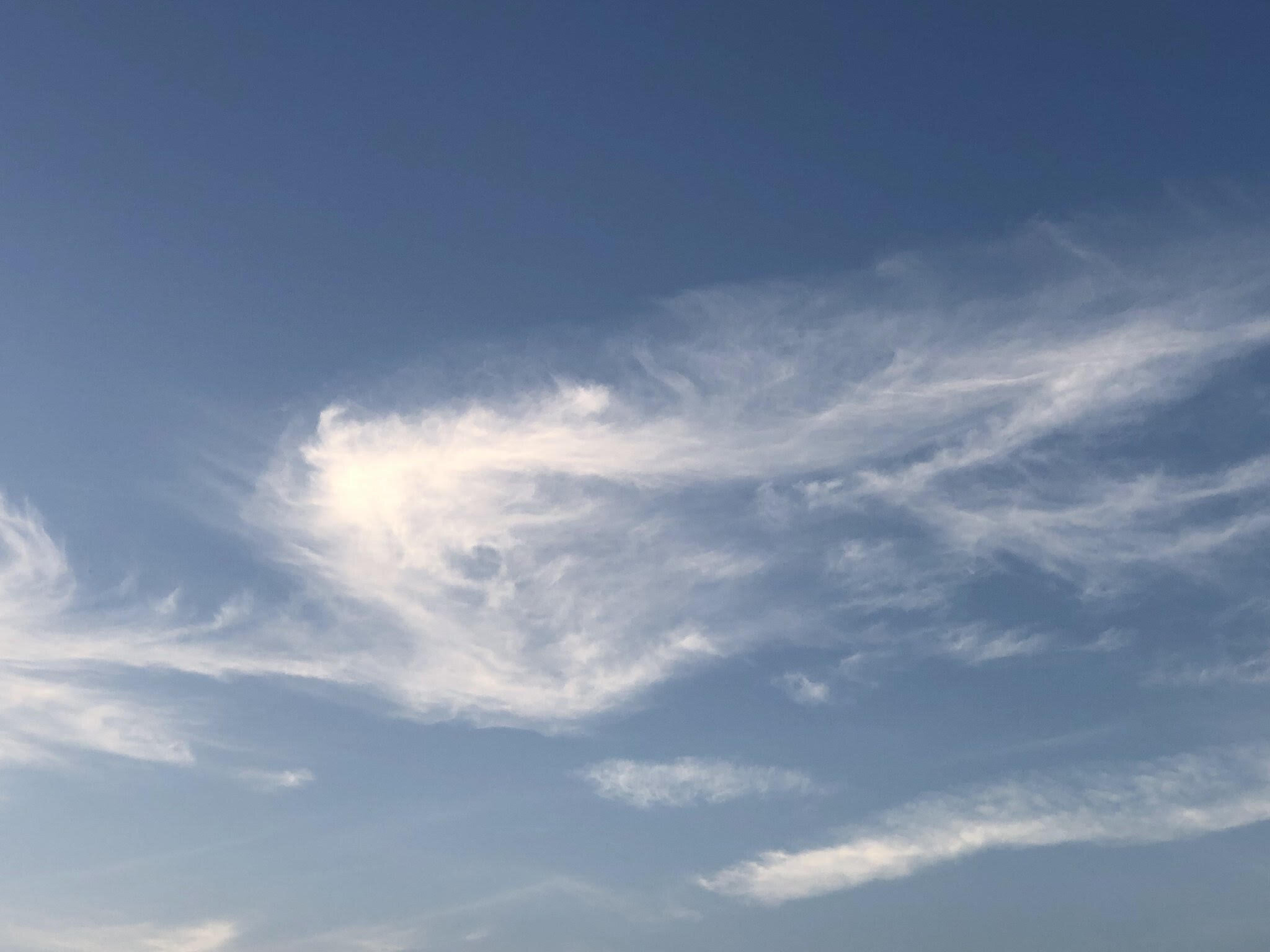 Sostenibilità ambientale e lotta al cambiamento climatico