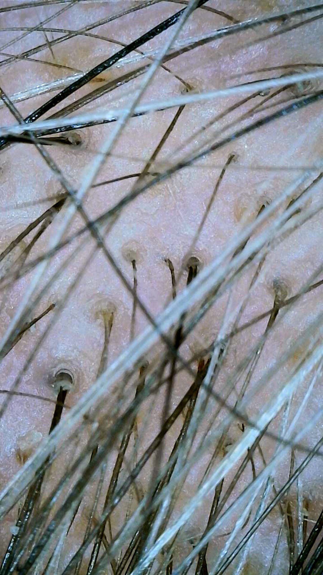 Piccoli consigli per mantenere i vostri capelli sempre splendidi e sani