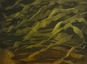 a5e060e330864e1aa5a3c4023d7df886383e5ec4