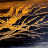 olio su tela, 100x70 - spatola