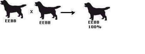 98f57f2eaac645a8c81d9832af2cba7f3d27c347