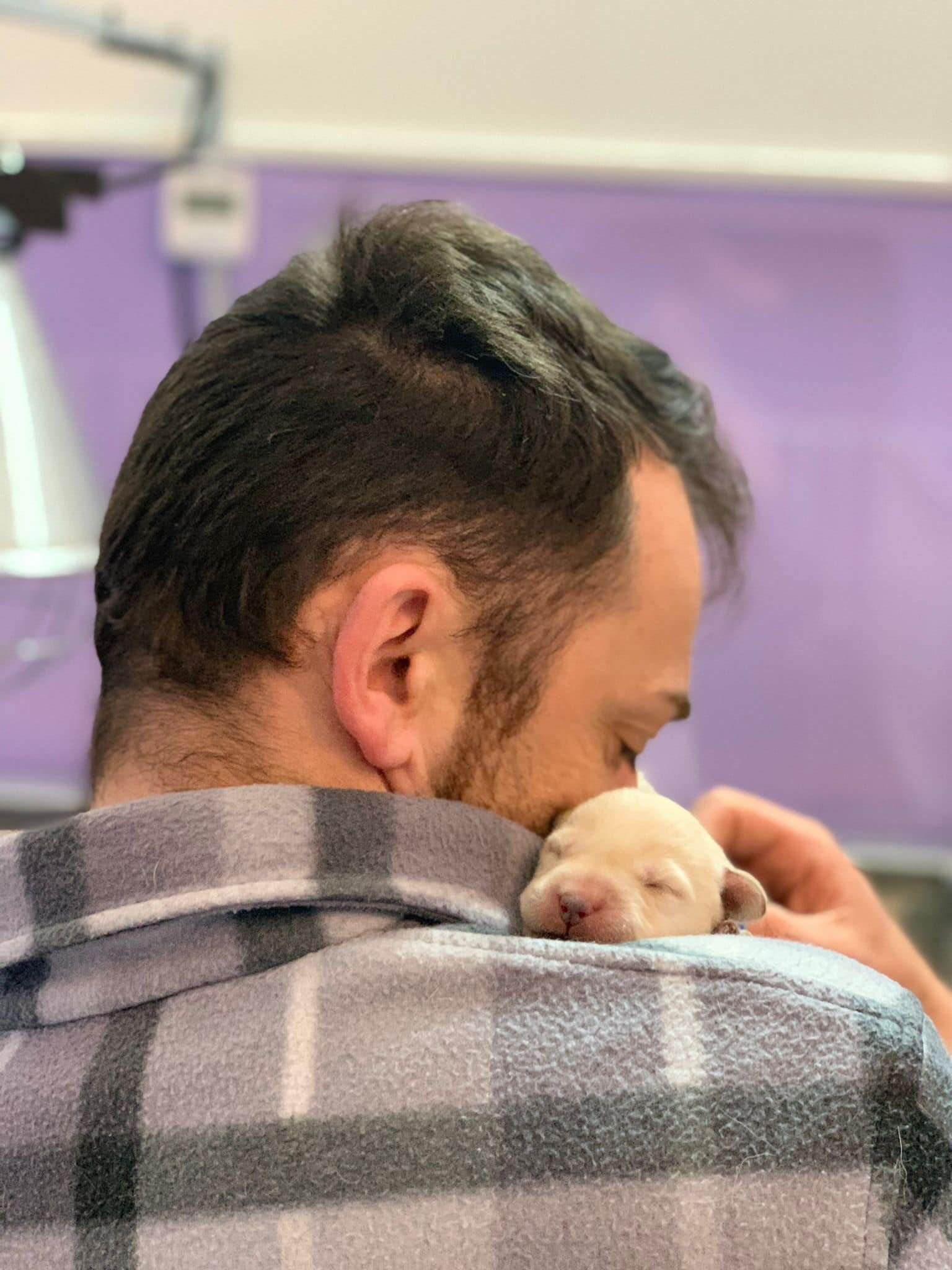 L'allevatore non è un alieno L'allevatore non è un alieno